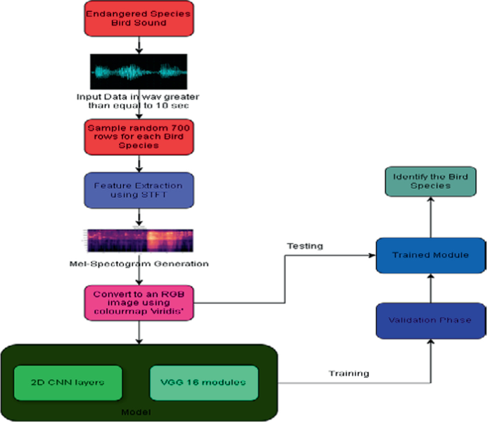 Towards Classifying Bird Sounds Using a Deep Transfer Learning Model ...