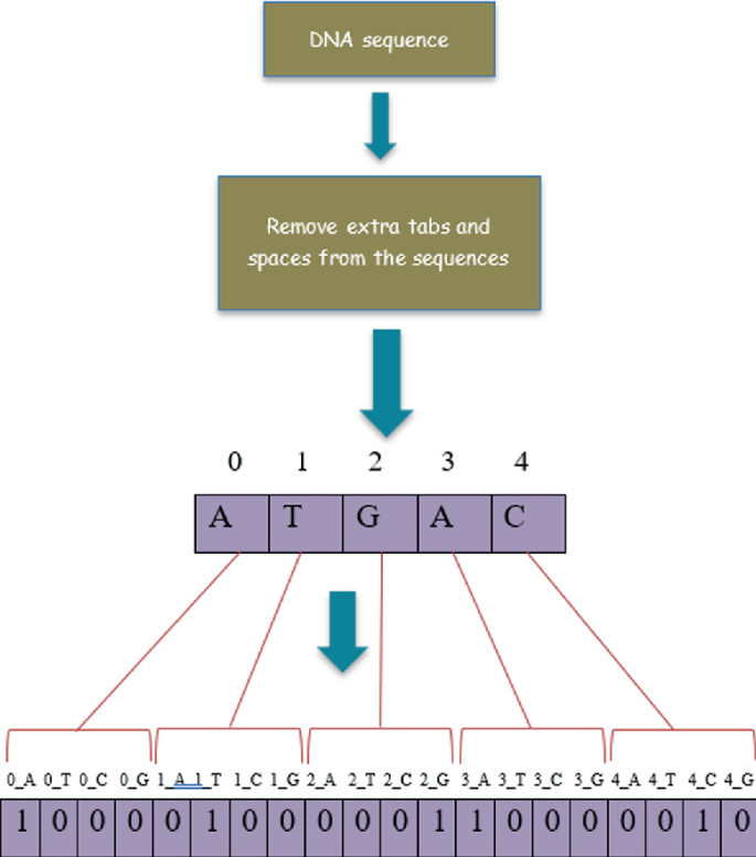 A Comparative Study of Machine Learning Algorithms for DNA Sequence ...