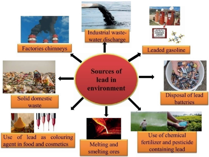 Lead: Uptake, Toxicity, and Tolerance in Crop Plants and Management of ...