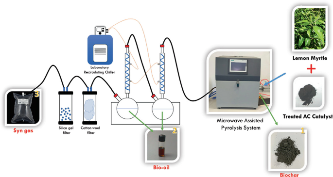 Study of Potential Modified Lemon Myrtle Activated Carbon Catalyst to ...