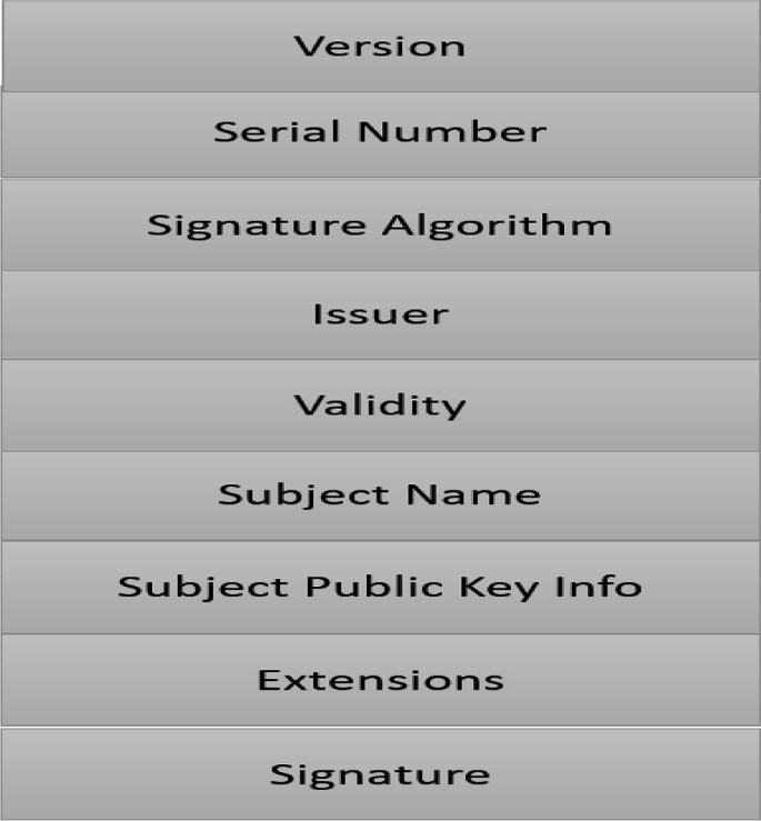 Public Key Cryptography, Digital Signatures, and PKI | Springer Nature ...