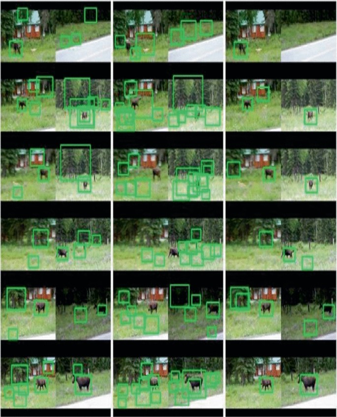 A Computer Vision-Based Methodology for Detecting Animal Intrusion in ...