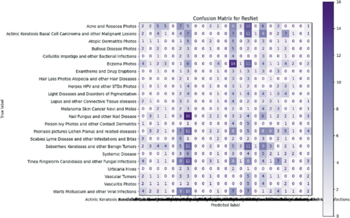 Skin Disease Detection Using Deep Learning Models Comparison of CNN and ...