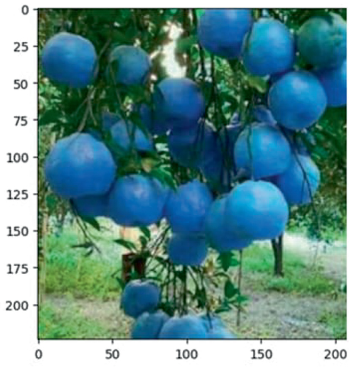 YOLO Algorithm-Based Effective Orange Detection and Localization with ...