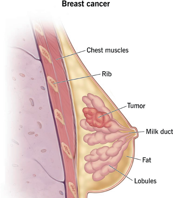 The Next Frontier in Cancer Diagnosis: A Thorough Examination of ...