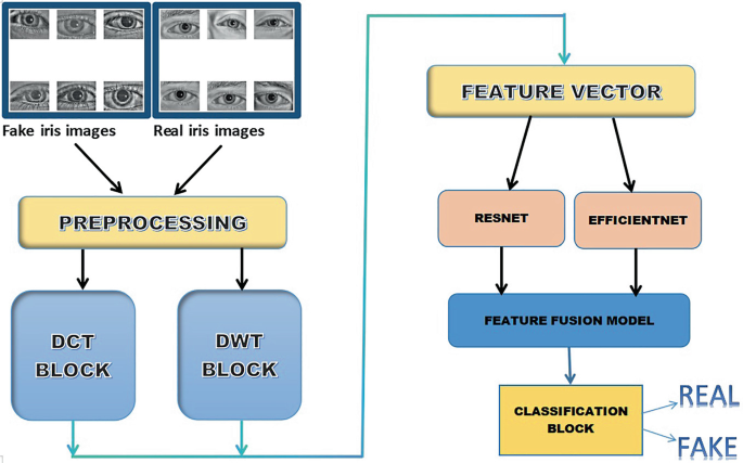 Iris Liveness Detection Using Hybrid DCT-DWT Feature Extraction and ...