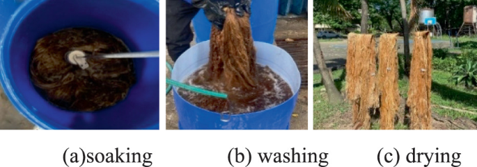 Valorization of Abaca (Musa textilis Nee) Fibers By-products for ...