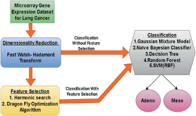 A Bio-Inspired Framework for Lung Cancer Classification Using Fast ...