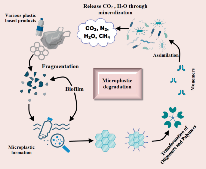 Microplastic Quantification Process Genomics and Proteomics Associated with Bioremediation of Microplastics ...