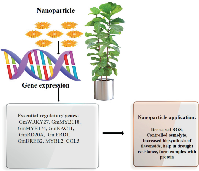 Role of Metal and Metal-Oxide Nanoparticles in Agricultural Crop ...