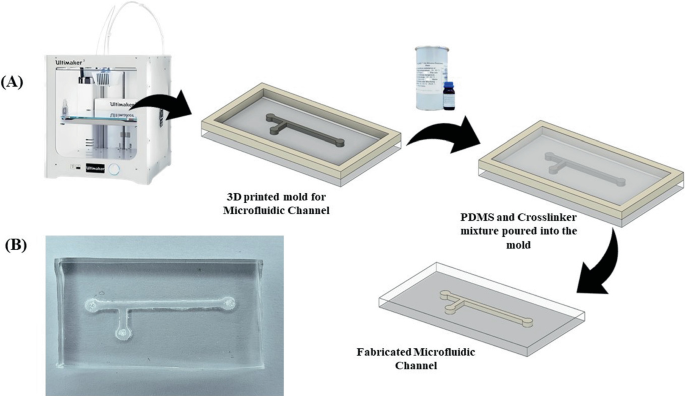 Rapid and Cost-Effective In Situ Fabrication of Nanoporous Membranes in ...