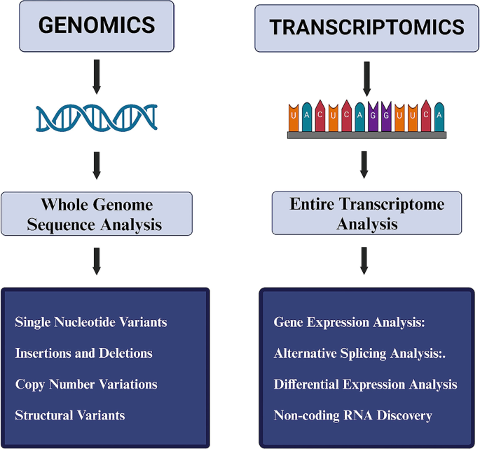 Genomics and Transcriptomics-Based Predictive and Prognostic Biomarkers ...