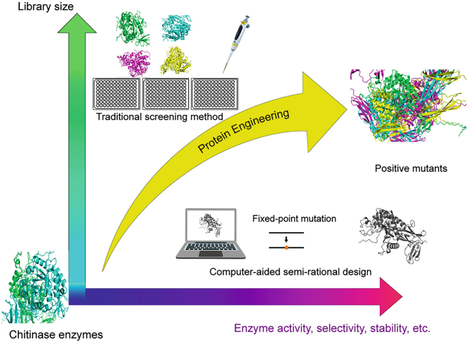 Tools for Mining, Expression, and Modification of Marine Polysaccharide ...