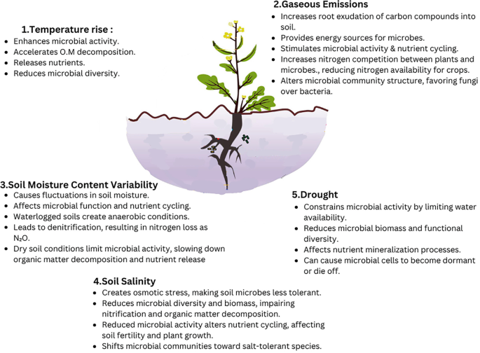Impact of Climate Change Drivers on Soil Microbial Communities and ...