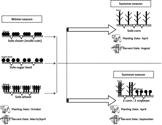 Innovative Cropping Systems to Maximize the Use of Available Natural ...