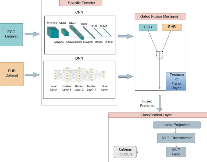 Multimodal Gated Fusion Framework for Cardiovascular Disease Prediction ...