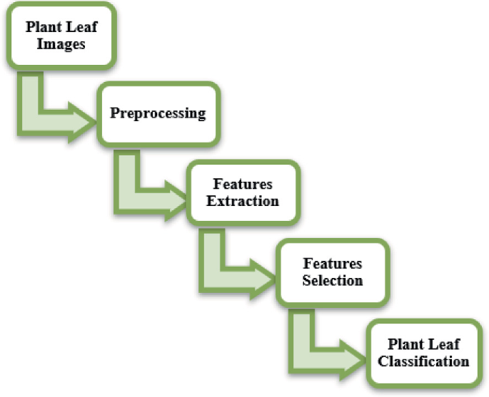 Plant Leaf Disease Detection Using Machine Learning | Springer Nature Link