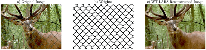 3 photographs of a deer surrounded by a fence. A. represents an original image, B. represents a weights image, and C. represents W T L A R S reconstructed image.