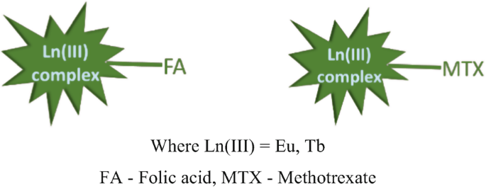 An illustration of two starburst shapes representing L n 3 complexes, one labeled with F A for Folic acid and the other with M T X for Methotrexate, along with a legend explaining the abbreviations and indicating L n 3 = E u, T b.