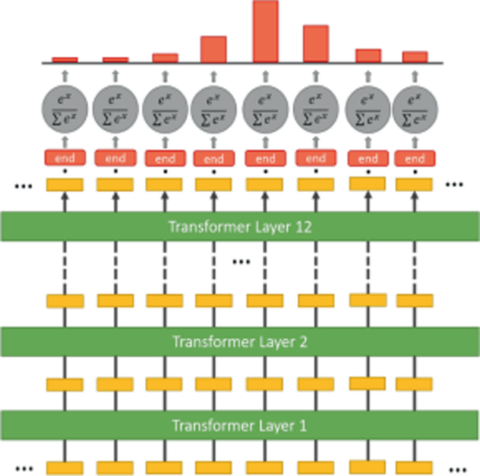 A graphic defines how the end token classifier works. The C L S token input goes from transformer layer 1 to transformer layer 12 and is split into end sequences, embedded into segments, and graphs are plotted for the correct sentences.