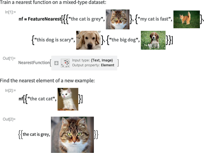 An illustration of symbolic processing with 6 inset photos of dogs and cats. It includes training a nearest function on a mixed-type dataset with I n of 1 and out of 1 equals the nearest function with input type and output property, and I n of 2 and out of 2 for the nearest element of a new example.