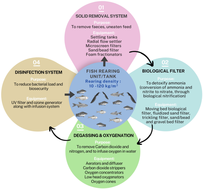 Prospects of Intensive Farming of Indigenous Small-Fish Species in ...