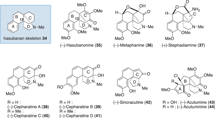 Eight chemical structures. These are hasubanan skeleton, hasubanonine, metaphanine, stephadiamine, cepharatine A, cepharatine C, cepharatine B, cepharatine D, sinoracutine, acutumine, and acutuminine.