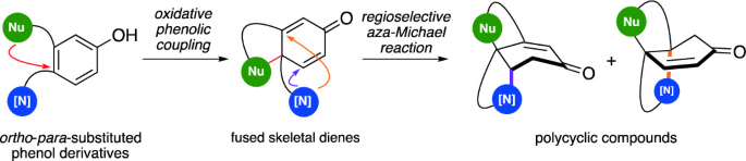 A reaction pathway. Ortho para substituted phenol derivatives undergo an oxidative-phenolic coupling reaction. It gives fused skeletal dienes. The nucleophile is attached at para positions. Regioselective aza Michael's reaction produces two polycyclic compounds. These have chair conformations.