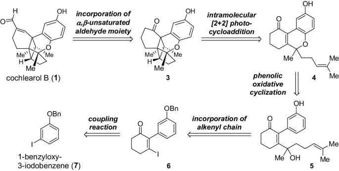 A chemical reaction pathway. Cochlearol B with double bond saturates by alpha, beta-unsaturated aldehyde moiety incorporation. The bridge system breaks by 2 plus 2 photo cycloaddition, followed by phenolic oxidative cyclization, incorporation of alkenyl chain, and coupling reaction to give 1 benzyloxy 3 iodobenzene.