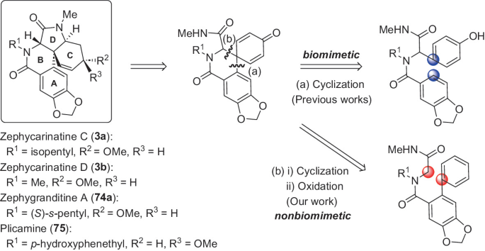 A chemical reaction involves a molecular structure with compounds Zephycarinatine C, D, A, and plicamine leading to a biomimetic compound and a nonbiomimetic compound via cyclization and cyclization and oxidation, respectively.