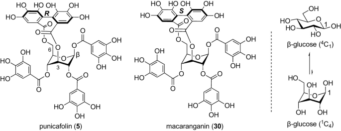 A chart presents the chemical structures of punicafolin, macaranganin, and beta glucose 4 C 1 and 1 C 4.
