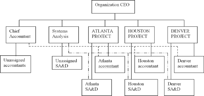 Project Systems Org Unit Project Organization | Springer Nature Link