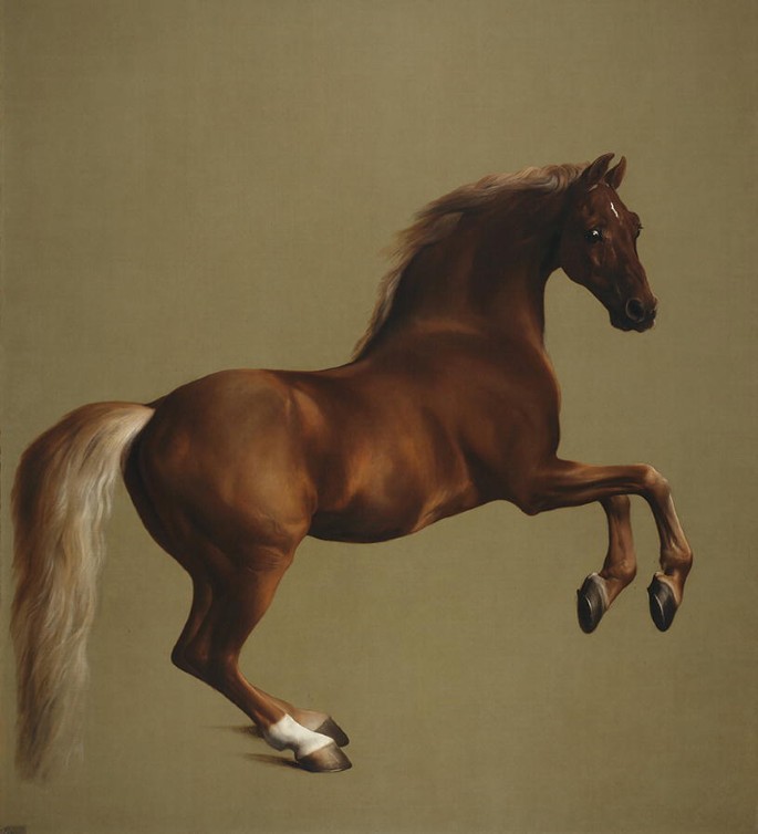 A photo of a jumping horse.