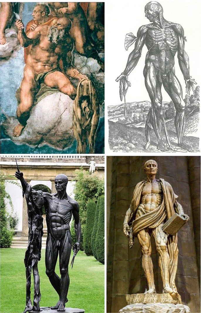The top panel depicts a painting and a sketch of a naked man. The sketch depicts the bone structure of a man who has webbed hands and fins sprouting from his arm. The bottom panel depicts 2 statues. The left one depicts a naked man's statue and the right one depicts a man covered in a shawl.
