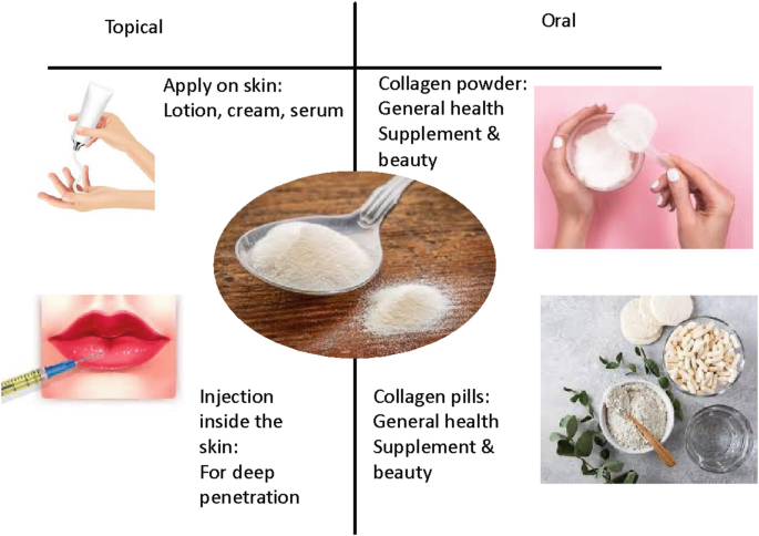 Collagen for Cosmetic Ingredients | Springer Nature Link