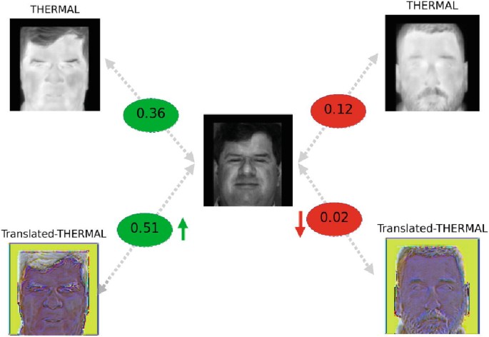 Heterogeneous Face Recognition with Prepended Domain Transformers ...