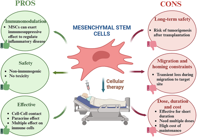 Therapeutic Prospects of Stem Cell-Derived EVs: Upcoming Avenues ...