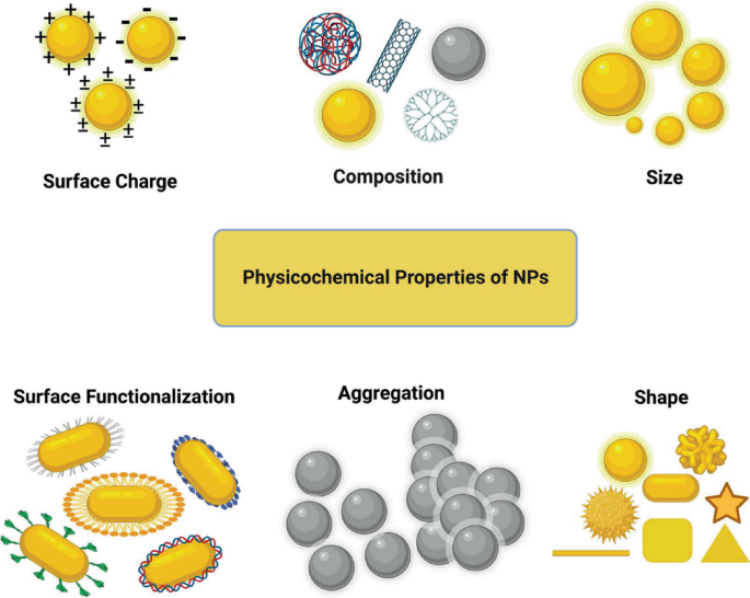Biocompatibility and Toxicity of Nanoparticles in Textile Finishing  Springer Nature Link