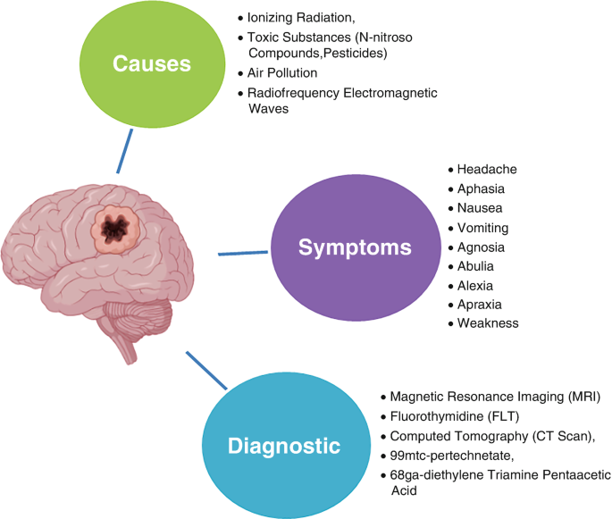 Nanobiotechnology For Brain Tumor-targeted Therapies 