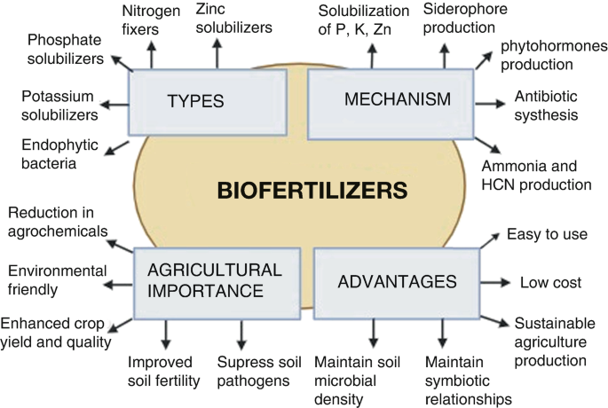 Metabolomics: A Paradigm Shift in Understanding Biofertilizers Dynamics ...