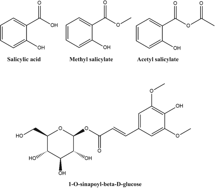 Salicylic Acid: Food, Functions, and Future