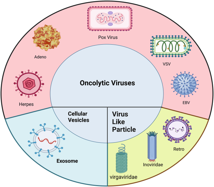 Bio-inspired Nanomaterials in Cancer Theranostics | SpringerLink