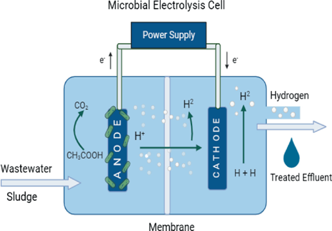 Effect of Design and Other Parameters of Microbial Electrolysis Cell ...