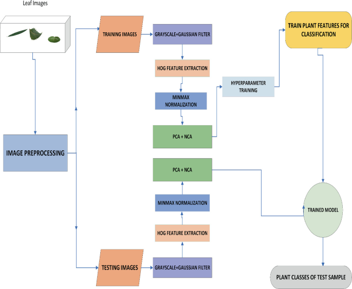 Leaf Preprocessing Ayurvedic Plant Leaf Detection Using HOG Feature Descriptor and SVM ...