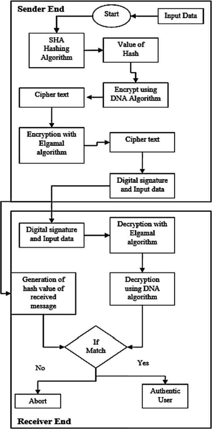 An Innovative Method for DNA Cryptography-Based Digital Signature ...