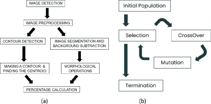 Development of a Computer Vision Based Fruit Sorting System Operated ...