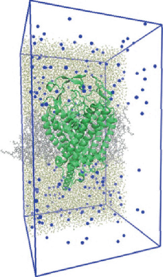 Mechanism of Terahertz Wave on Calcium Channels | SpringerLink image.