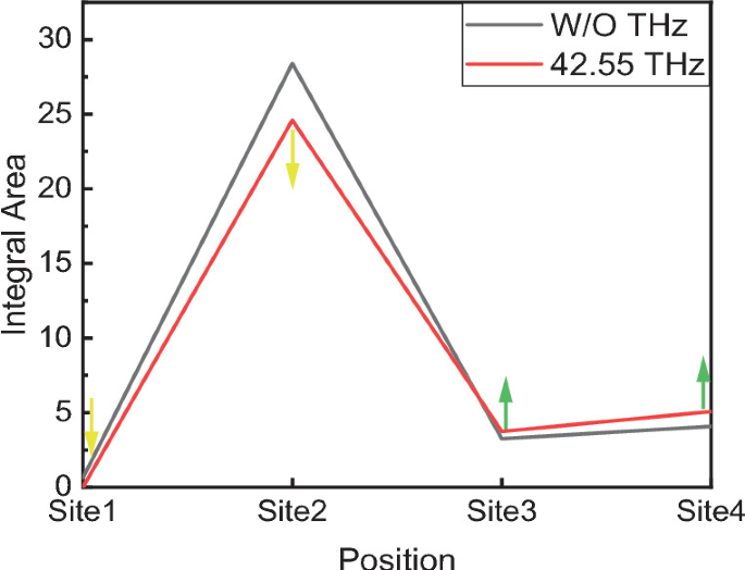 Mechanism of Terahertz Wave on Calcium Channels | SpringerLink