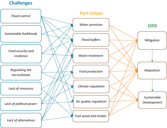 Scaling up the Peri-Urban Ecosystem in Disaster Risk Reduction ...