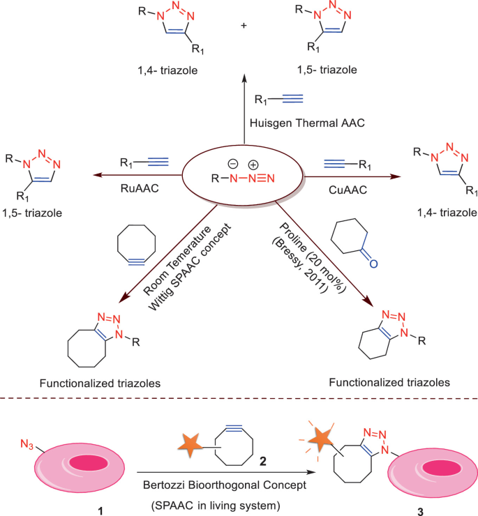 SuFEx Click Chemistry: Discovery to Applications | Springer Nature Link